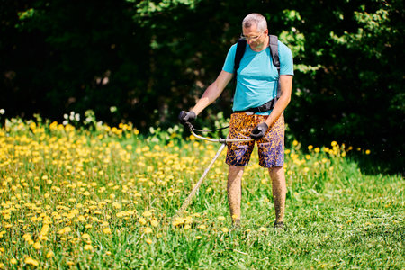 Farmer chopping blooming dandelions in his field with gas powered string weed wacker trimmer