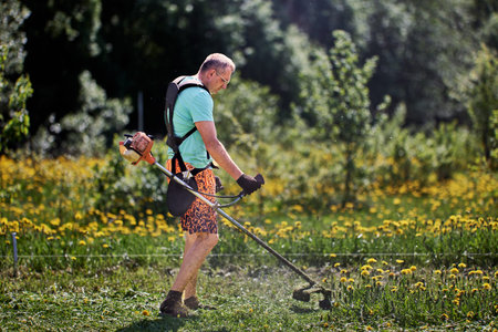 Backpack suspension for gasoline weed trimmer is worn by tall man who is cutting dandelions on his plot of land.の写真素材