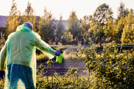 Manual garden sprayer with pump mechanism allows user to compress air and release liquid evenly when pressing trigger for plant treatment.の写真素材