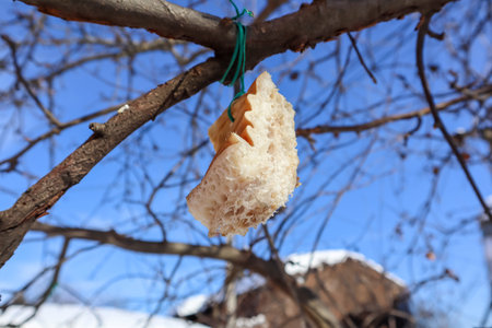 fat for feeding birds in winter hanging on a blue sky background