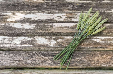 a bouquet of green ears of wheat lies on a background of old wooden boardsの写真素材
