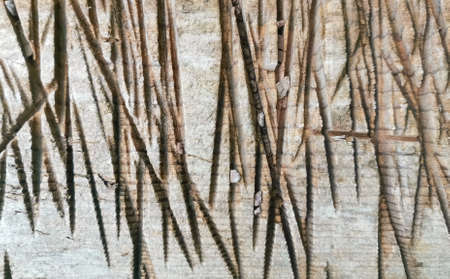 background of an old gray wooden plank with traces of an ax close-upの写真素材