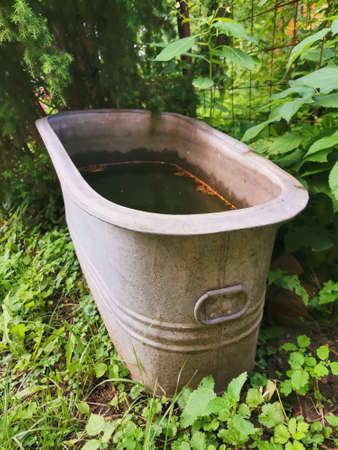 an iron trough with water stands on the grass on a sunny summer dayの写真素材