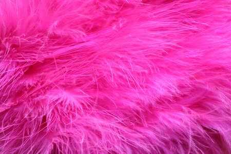 Beautiful abstract pink purple feathers macro view. Soft pink background. Pink feather textureの写真素材