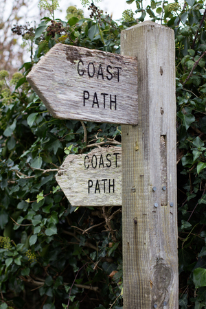 Wooden trail markers denoting the Coast Path, covered with moss and lichensの写真素材