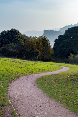 A trail winds through a green meadow towards a grove of trees with misty hills in the backgroundの写真素材
