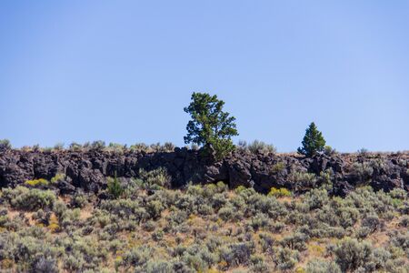 Colorful sage brush, juniper and volcanic rock in the high desert of eastern Oregonの写真素材