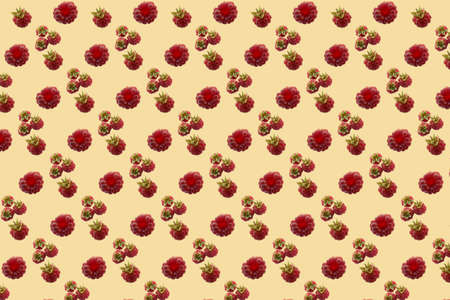 Bright pattern from raspberry with beige backgroundの写真素材