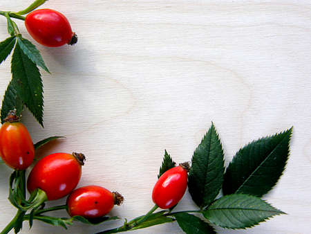 Fresh red berry rose hips on a white, wooden backgroundの写真素材