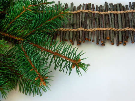 Christmas tree twigs on a white background. New Year decorの写真素材