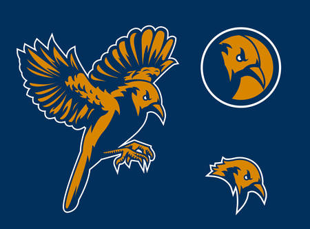 bird sport logo templateのイラスト素材
