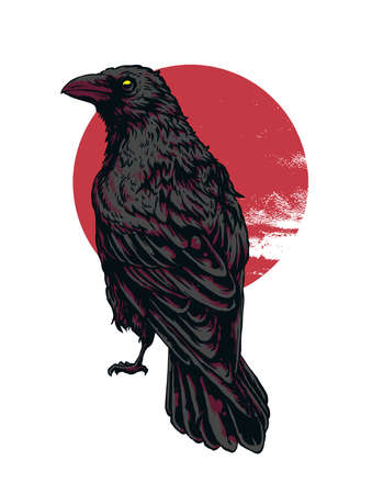 crow isolatedのイラスト素材
