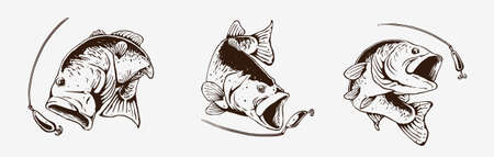 fish set vector designのイラスト素材