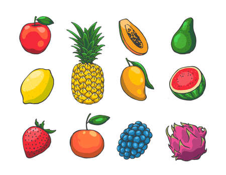 illustration of fruit set designのイラスト素材