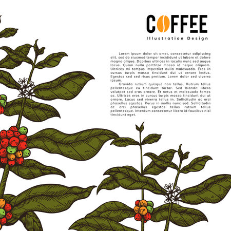coffee illustrationのイラスト素材