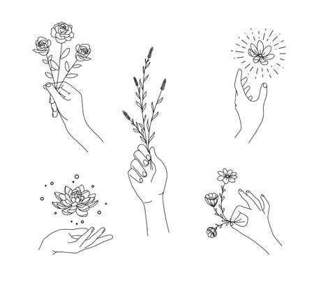 beautiful hand floral and feminine illustrationのイラスト素材