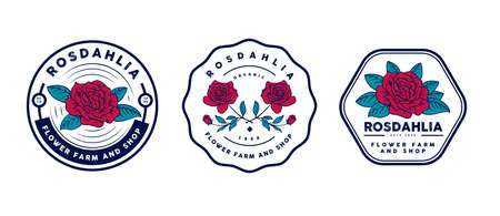 beautiful feminine frame for logo and mascotのイラスト素材