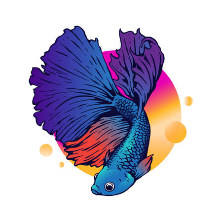 betta fish illustrationのイラスト素材