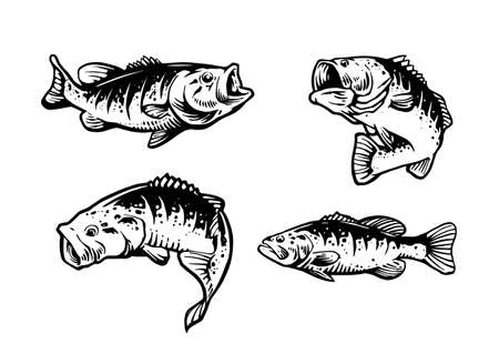 fish illustration for design resourcesのイラスト素材