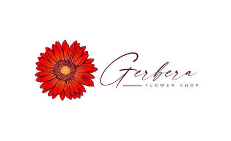 gerbera flower for logo, mascot and othersのイラスト素材