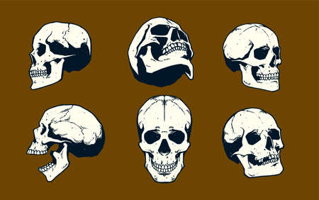 skull set illustrationのイラスト素材