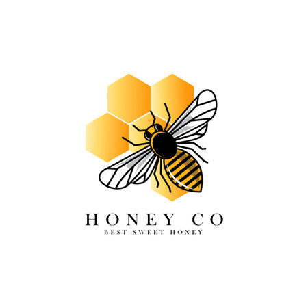 Honey bee logo vector template. Honeycomb and bee icon.のイラスト素材