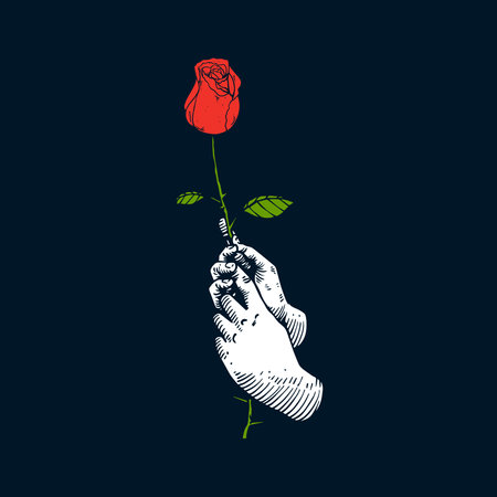 Hand holding red roseのイラスト素材