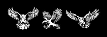 Eagle set. Black and white engraved ink artのイラスト素材