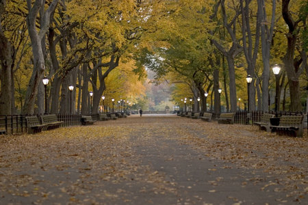 Literary Walk in autumn_1