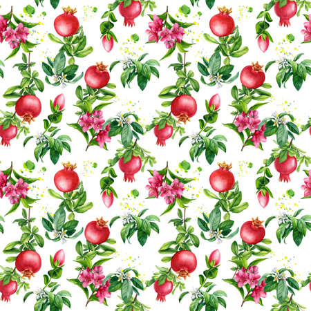 pomegranates, seamless patterns on a white background, watercolor illustration, hand drawingの写真素材