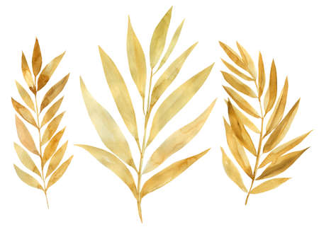Set of yellow leaves on an isolated white background, watercolor painting, abstract autumn leavesの写真素材