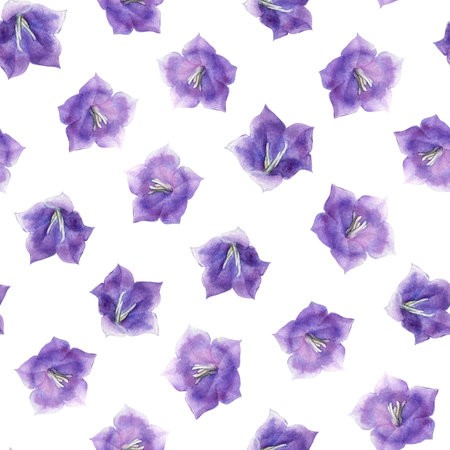 Flowers hydrangea, dahlia, bell, watercolor drawings, floral design, seamless patternの写真素材