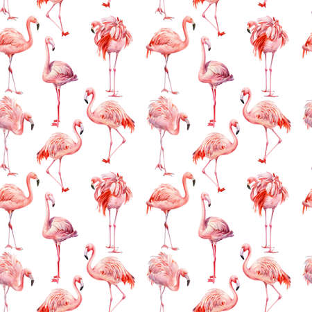 Flamingo pattern, Pink flamingo isolated background, watercolor illustration, seamless patternの写真素材