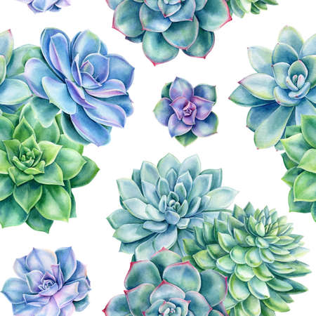 Succulents seamless pattern, watercolor illustration, digital paperの写真素材