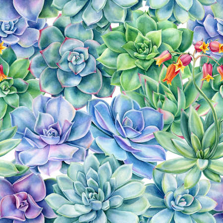Seamless pattern with succulents plants , watercolor illustrationの写真素材
