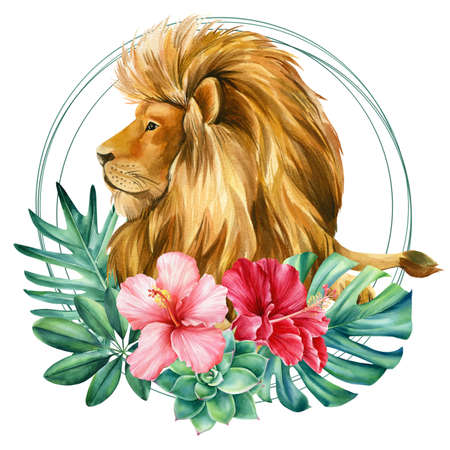 Lion on isolated white background watercolor botanical paintingの写真素材