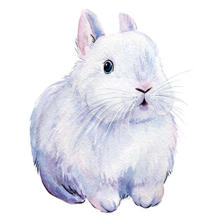 White bunny on an isolated white background, painted with watercolor, fluffy bunnyの写真素材
