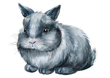 Cute bunny on an isolated white background, painted with watercolor, fluffy bunnyの写真素材