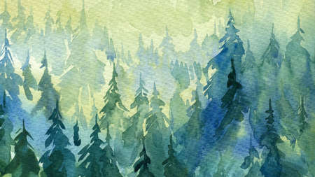 Fir forest landscape, watercolor illustration painting backgroundの写真素材
