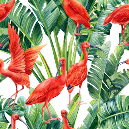 Tropical leaves palm and ibis birds. Watercolor illustration, seamless patternの写真素材