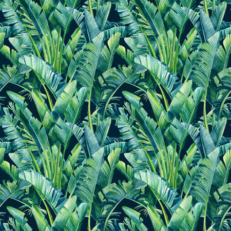 Tropical leaves of banana palm, strelitzia on an isolated background. Watercolor illustration, seamless patternの写真素材