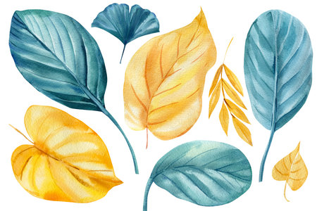 Tropical set of leaves on an isolated white background. Watercolor floral design elementsの写真素材