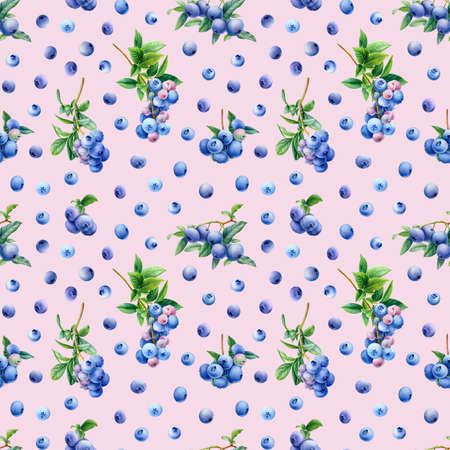 Pink seamless pattern, berry background, blueberries branches watercolor, botanical illustrationの写真素材