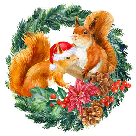 Holiday Squirrel, spruce wreath on an isolated white background, cute winter animal.の写真素材