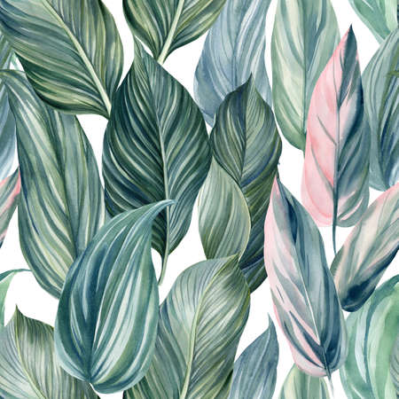 Floral tropical Seamless pattern of palm leaves, watercolor illustration, jungle designの写真素材