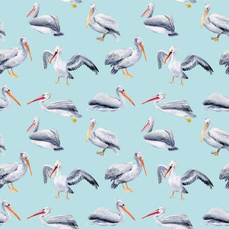 Seamless pattern with pelicans on a blue background, watercolor illustrations, paper design, birds.の写真素材