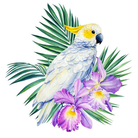 Cockatoo Parrot, palm leaves, tropical flowers orchid, watercolor botanical illustrationの写真素材
