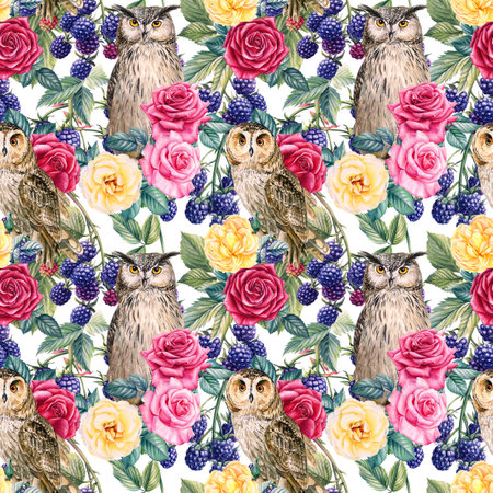 Seamless pattern, branches of blackberries, roses flowers and birds owl, watercolor botanical illustrationの写真素材