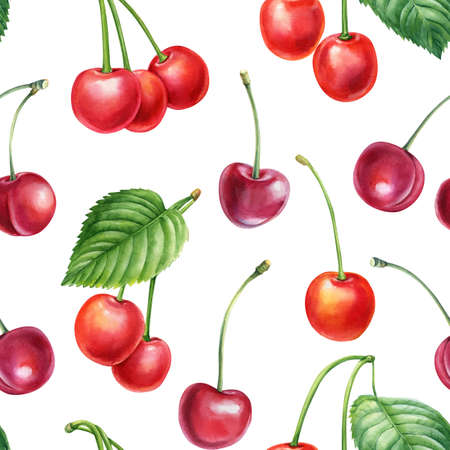 Seamless pattern of cherry isolated on white background. Watercolor Berry. Botanical illustrationの写真素材