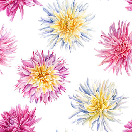 Dahlia flowers. Seamless pattern of vintage flowers. Botanical Floral background.の写真素材